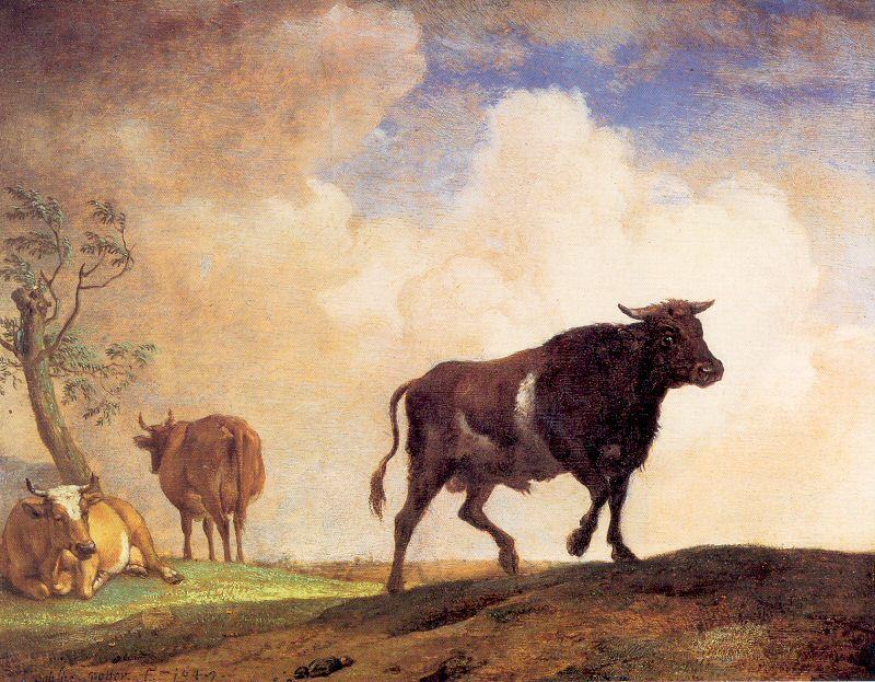 POTTER, Paulus The Bull France oil painting art